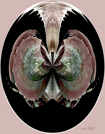 Big Bunny by artist Charlie Kreitler